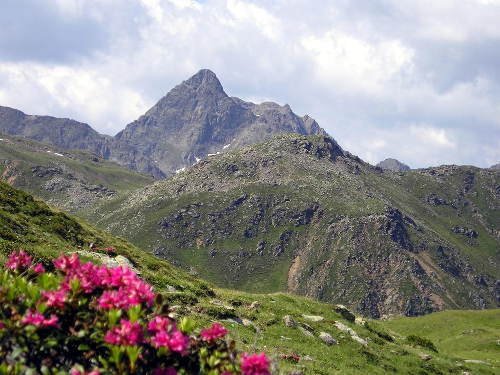 Pension Stoffler Sankt Veit in Defereggen Εξωτερικό φωτογραφία
